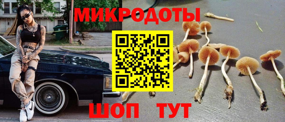 Алексеевка  Псилоцибиновые грибы прущие грибы  Вход с VPN 